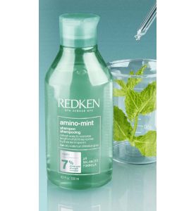 REDKEN - SHAMPOING AMINO MINT